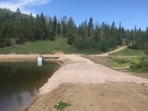 STREAM AND POND WORK