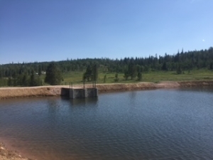 STREAM AND POND WORK